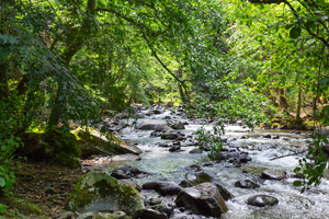 L'eau, ressource rare